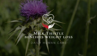 Milk Thistle Benefits Weight Loss