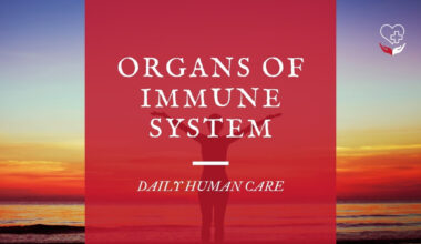 Organs of immune system
