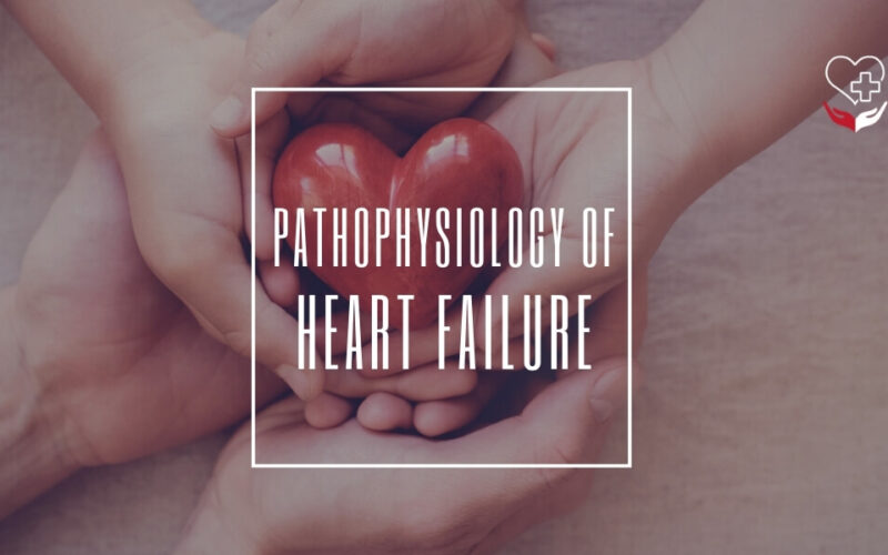 Pathophysiology of heart failure