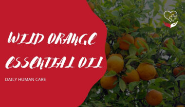 WILD ORANGE ESSENTIAL OIL