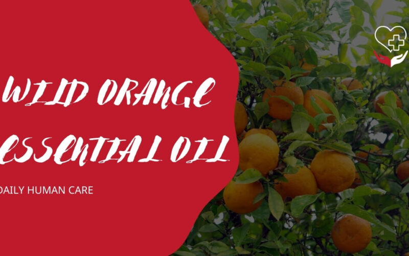 WILD ORANGE ESSENTIAL OIL