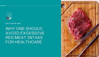 Why One should Avoid Excessive Red Meat Intake for Healthcare