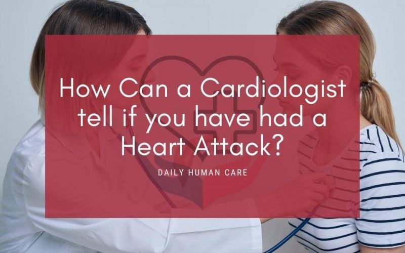 cardiologists