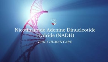 Nicotinamide Adenine Dinucleotide Hydride (NADH)