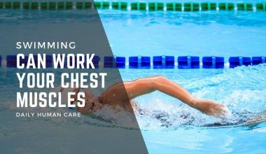 Do you know Swimming Can Work Your Chest Muscles