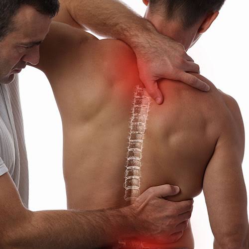 Chiropractic Services in Ottawa, Canada